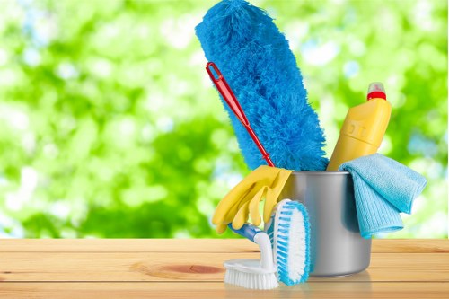 Professional house cleaning in a Marylebone apartment living room