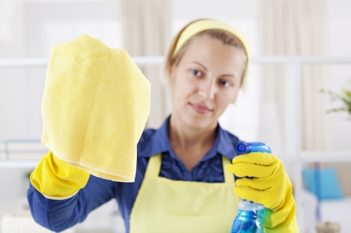 Deep cleaning an oven door and interior in a central London home