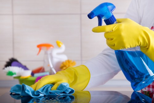 Marylebone cleaners providing professional home cleaning service