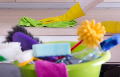 Thorough kitchen and bathroom deep cleaning in Marylebone
