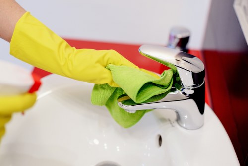 Pet stain removal service in Marylebone for a flat, sofa, and hallway carpet