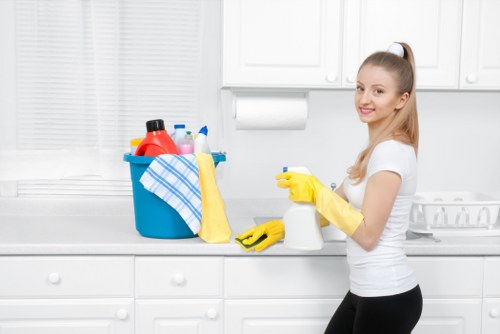 Deep cleaning upholstery affected by pet stains in a Marylebone home