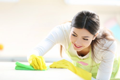 External and internal glass cleaning for flats and apartments in Marylebone