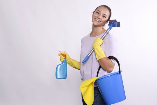 Local domestic cleaning support for residential properties in Marylebone