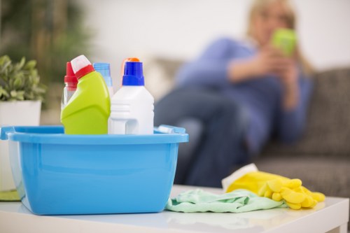 Kitchen and bathroom domestic cleaning in a central Marylebone home