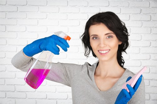 Marylebone cleaners working across residential and commercial spaces