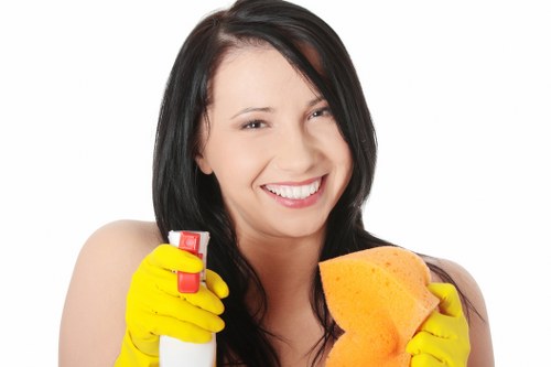 Local cleaning specialist treating pet urine smell in a Marylebone apartment